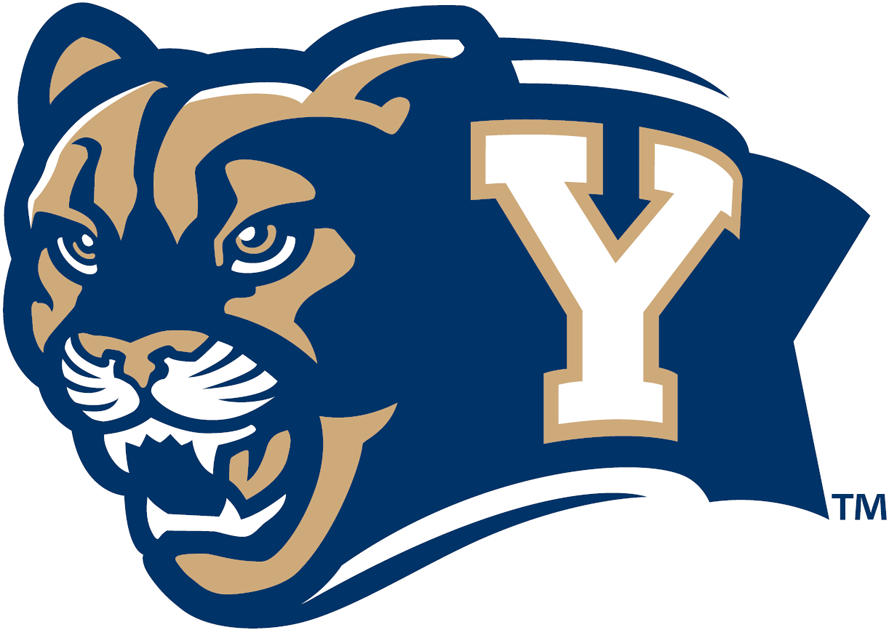 Brigham Young Cougars 2005-Pres Secondary Logo iron on transfers for T-shirts